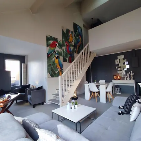 Le Duplex Du Marche Apartment Châteauroux Exterior photo